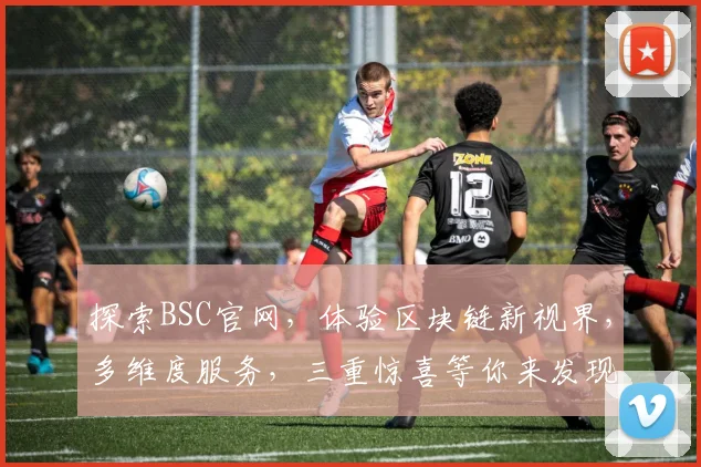 探索BSC官网，体验区块链新视界，多维度服务，三重惊喜等你来发现